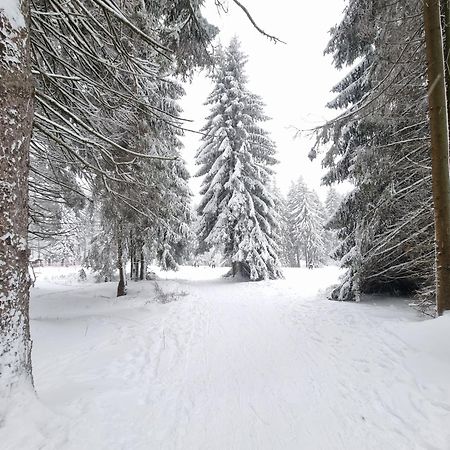 Hotel Zum Gruendle Oberhof  Kültér fotó