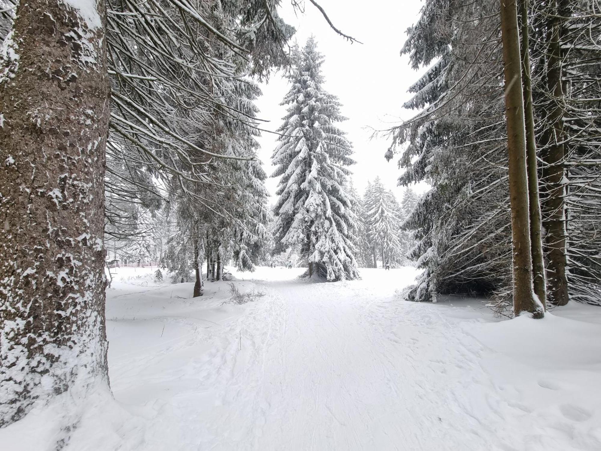 Hotel Zum Gruendle Oberhof  Kültér fotó
