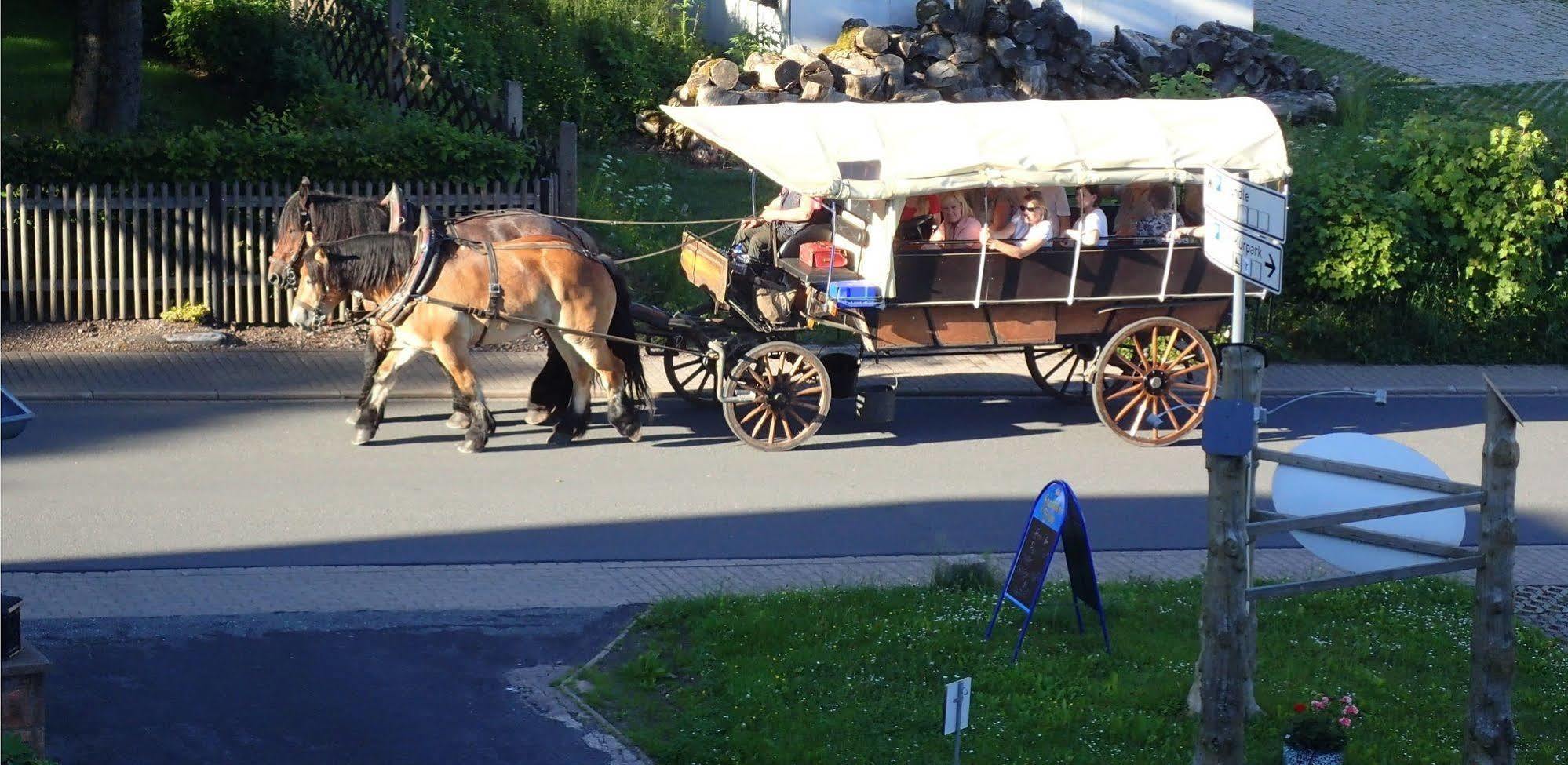 Hotel Zum Gruendle Oberhof  Kültér fotó